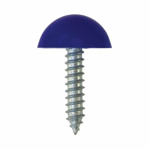Domed Number Plate Screws BLUE - Pack of 100